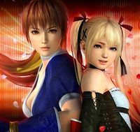 《Dead or Alive 5 Last Round》（死或生5 最后一战）