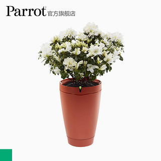 Parrot 派诺特 50 智能花盆