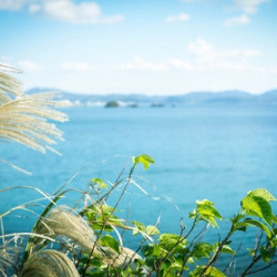 上海直飞冲绳5天往返含税机票 东航（赠日本三年签）