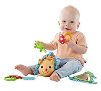 凑单品：Fisher-Price 费雪 Moonlight Meadow 玩具5件套