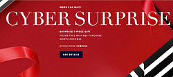 ESTEE LAUDER 美国官网 CYBER SURPRISE 全场