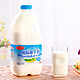 限地区：三元  风味酸牛奶  原味酸奶1.8kg/瓶