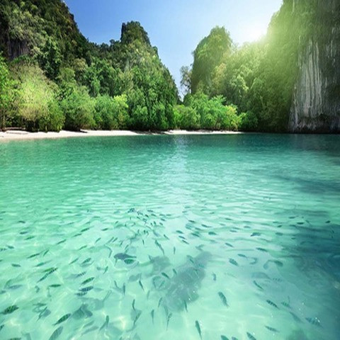 元旦春节:上海直飞甲米6日4晚往返机票 可加购