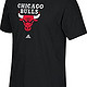 凑单品：adidas 阿迪达斯 NBA球队标志 男士运动T恤