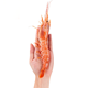 阿根廷天使红虾L2（2KG/约40~60只）