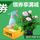 优惠券码：京东 绿植用品