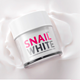 双12预告，新低价：SNAIL WHITE 娜姆 白蜗牛清润 面霜 30ml*2