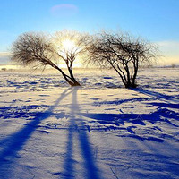 冬季游有坑有值：北京-内蒙古呼和浩特4日1晚跟团游