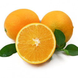 秭归纽荷尔脐橙 5斤装 单果150g-200g 22.8元