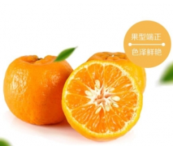 三峡椪柑 5斤装 