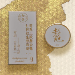 Phoenix Feathers 凤凰翎 字水第二集 彩色钢笔墨水60ml