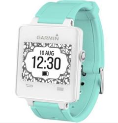 GARMIN 佳明 