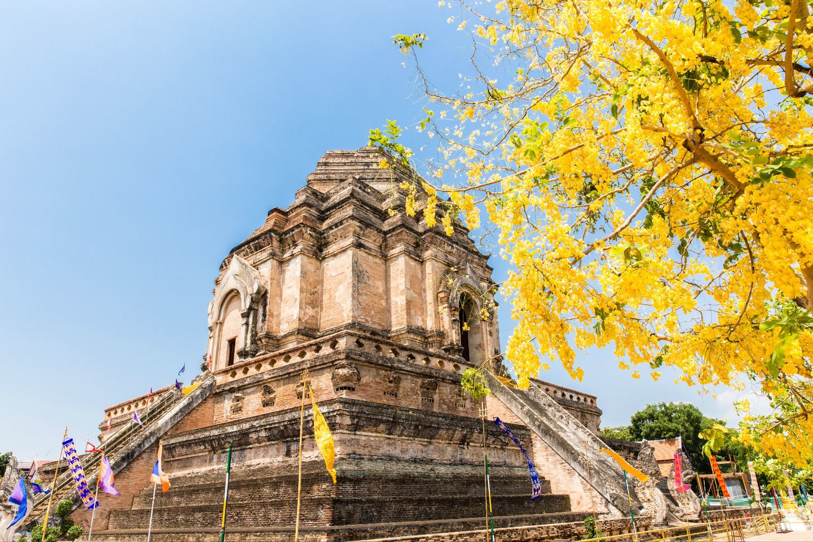 至明年3月:广州\/澳门--清迈5天4晚自由行 (往返
