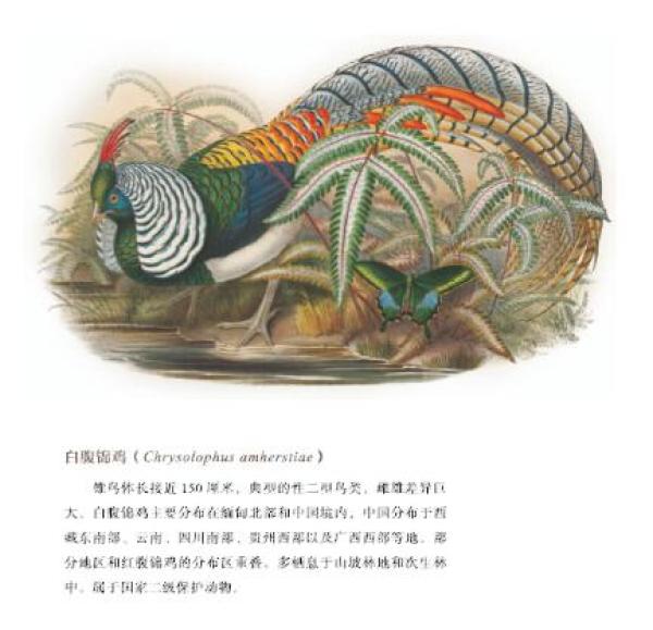 专题：跨年只差这一“页”