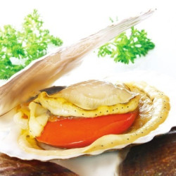 獐子岛 半壳虾夷扇贝 850g(26-30只)*2袋+蚬子肉250g