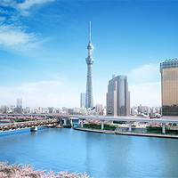 含樱花季班期：哈尔滨-东京 7天往返含税机票