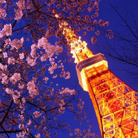 樱花季好价：上海-名古屋+东京 6天往返含税机票（赠WiFi）