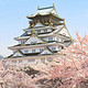 樱花季预售：上海-大阪 5天往返含税机票