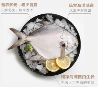  码头鲜生 海鲜礼盒海鲜大礼包 海捕白虾450g+白鲳300g+石斑鱼500g+黑虎虾450g