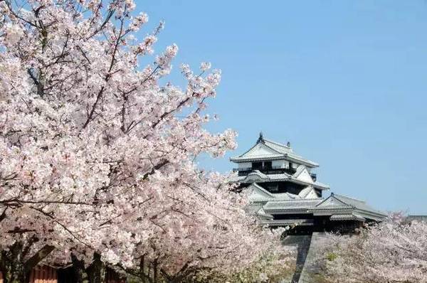 樱花季好价:上海-日本高松 5天往返含税机票(赠栗林公园门票+WiFi)