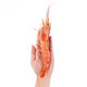 阿根廷纯野生天使红虾 2kg(L2 共41-60尾)  *2件