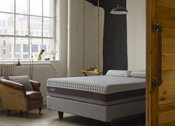 Technogel Estasi系列 专利凝胶泡棉床垫 Luxury Firm 坚实款 