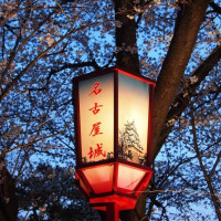 尾单机票：北京-名古屋7天往返含税机票（东航直飞，1月10日出发）