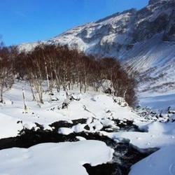 上海直飞（吉林+长白山+雪乡+亚布力+哈尔滨） 6日跟团游