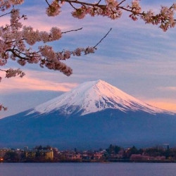 日本富士山拼车一日游(五合目+河口湖+忍野八海+山中湖温泉)