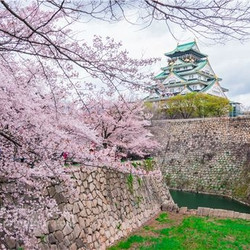 上海-大阪+名古屋 8日往返含税机票（赠购物优惠券）