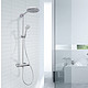 Hansgrohe 汉斯格雅 27165000 双飞雨 180恒温淋浴花洒套装