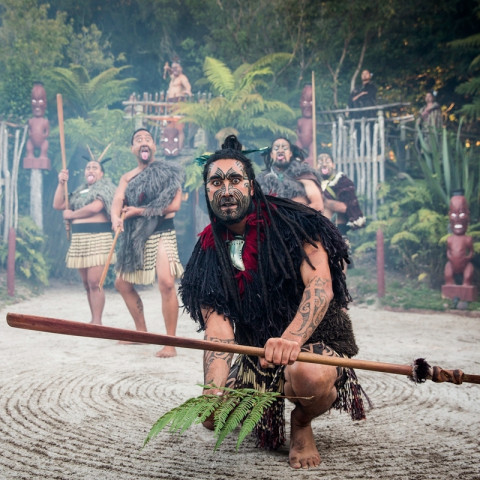 全国受理:新西兰个人旅游签证(无需面签)