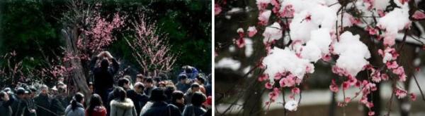 杭州运河塘栖雷迪森庄园1晚+超山景区、运河谷仓博物馆门票2套
