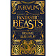 《Fantastic Beasts and Where to Find Them: The Original Screenplay 神奇动物在哪里》 英文原版