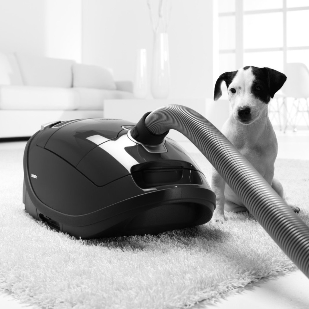 #热征#家庭清洁#唯一买得起的美诺 — Miele Complete C3 Cat and Dog 吸尘器