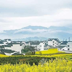 上海-江西婺源3日2晚跟团游（往返高铁 +酒店住宿+部分餐食）