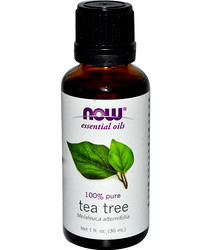 NOW 诺奥 now essential oils 100% Tea Tree Oil 纯茶树精油 30ml