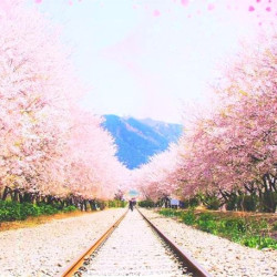 上海-韩国釜山+首尔 5日自由行 （韩亚航空+全程五花酒店）