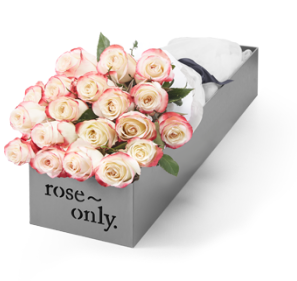 Roseonly 经典永续 情动玫瑰花 19支