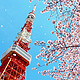 含樱花季班期：上海直飞茨城（东京）4日往返含税机票