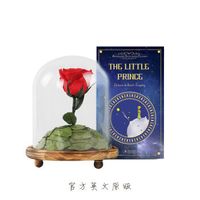 专题：没有女孩会对玫瑰花说NO