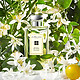 浪漫好礼：JO MALONE  橙花女士香水 30ml