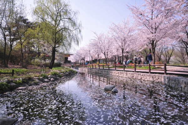 樱花季好价:上海-韩国首尔5日4晚自由行(往返机