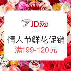 京东 惠爱情人节 鲜花促销
