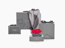 roseonly  经典永生玫瑰礼盒+灰色围巾 大型单朵嫣红