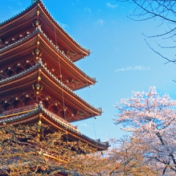 北京-东京+大阪 6日往返含税机票