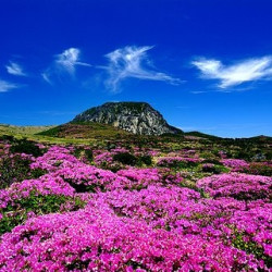 上海-韩国济州岛5天往返含税机票+接送机