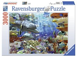 Ravensburger 睿思 17027 海洋奇想 拼图 3000块*2套