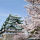 含樱花季班期：上海-名古屋/大阪 7天往返含税机票