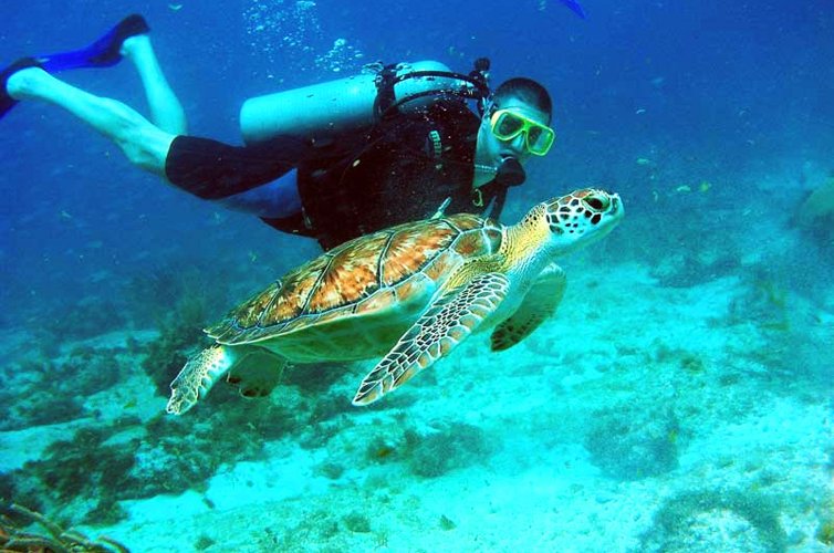 五星机酒:深圳直飞普吉岛5日4晚往返含税机票